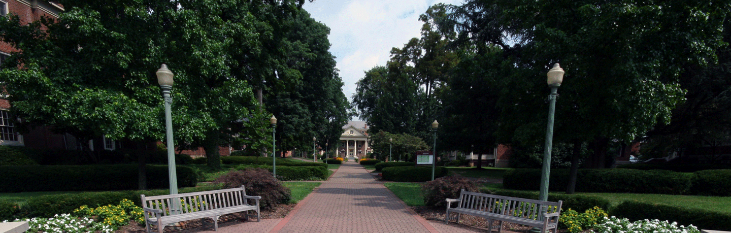 roanoke college