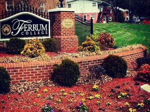 Ferrum is Affordable