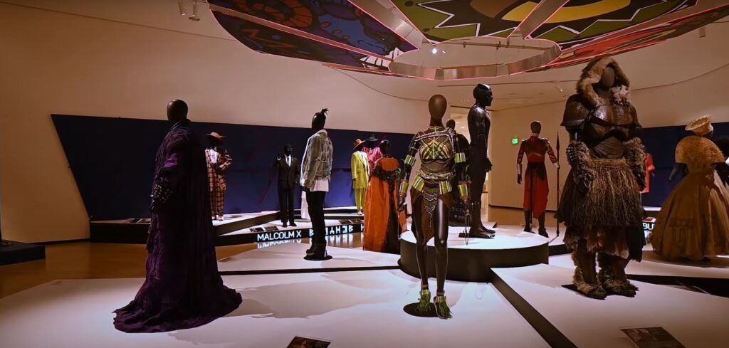 Blank Panther Exhibit at Taubman Museum of Art